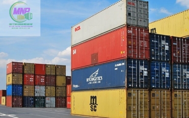 Cần Giờ tăng tốc logistics ven biển, nhu cầu thuê container tăng mạnh cuối năm